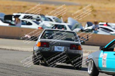 media/Feb-22-2025-Team Topak Racing (Sat) [[cb57a51a40]]/86 Party Brigade/Turns 13 and 14/